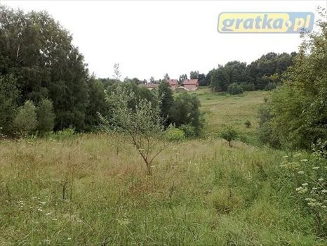 Działka inna na sprzedaż Mogilany, Gaj ul .Maryjna 16 600m2 Foto 2