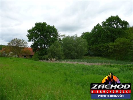 Działka budowlana na sprzedaż Przytok 22 600m2 Foto 3