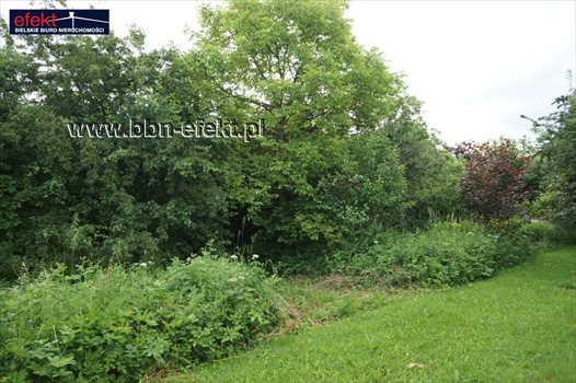 Działka budowlana na sprzedaż Jasienica 727m2 Foto 2