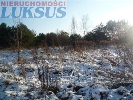 Działka budowlana na sprzedaż Łoś, Łoś 1 500m2 Foto 5