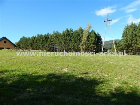 Działka budowlana na sprzedaż Skrzydlna 4 500m2 Foto 7