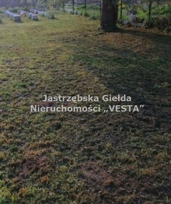 Działka rekreacyjna na sprzedaż Olza 198m2 Foto 2
