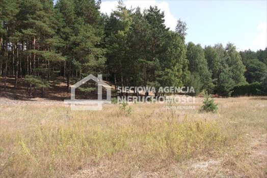Działka budowlana na sprzedaż Swornegacie 2 073m2 Foto 5