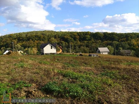 Działka budowlana na sprzedaż Owczary 3 000m2 Foto 7