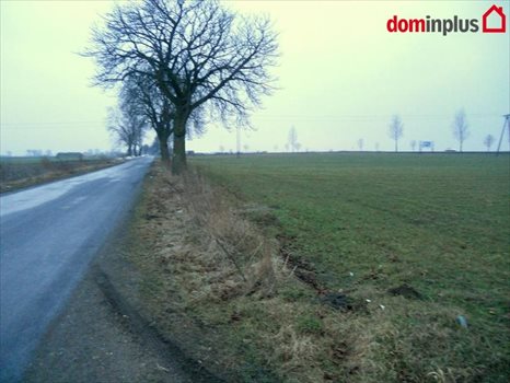 Działka inna na sprzedaż Kończewice 3 000m2 Foto 4