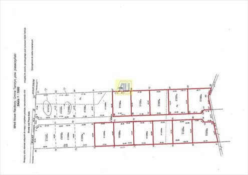 Działka budowlana na sprzedaż Nowe Racibory 15 000m2 Foto 7