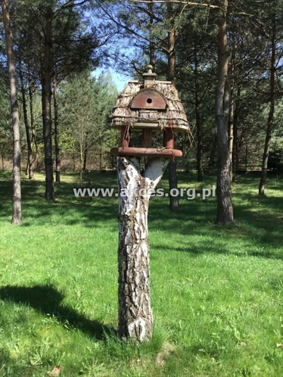 Dom na sprzedaż Łoś, Łoś 75m2 Foto 8