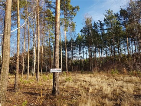 Działka budowlana na sprzedaż Musuły 1 600m2 Foto 1