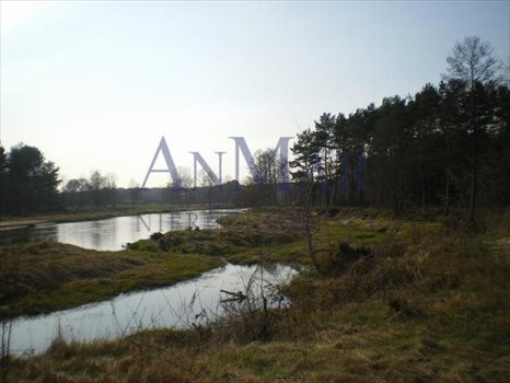 Działka rekreacyjna na sprzedaż Pogorzelec 2 824m2 Foto 4