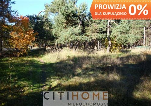 Działka budowlana na sprzedaż Józefów, Wiązowska 1 850m2 Foto 3