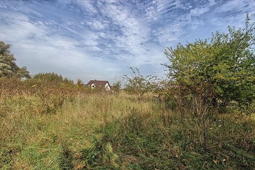 Działka rolna na sprzedaż Dołuje 915m2 Foto 7