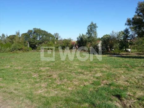 Działka budowlana na sprzedaż Księginice Małe, Jagodowa 5 000m2 Foto 6