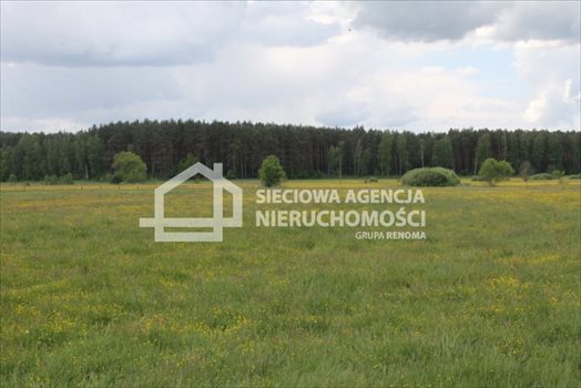 Działka budowlana na sprzedaż Lubowidz 1 066m2 Foto 10