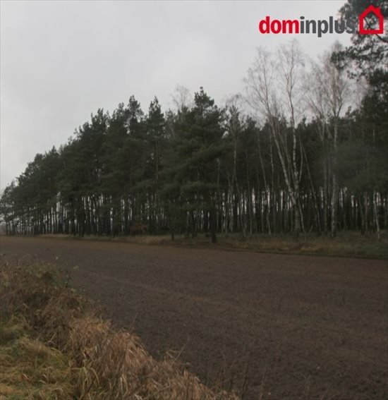 Działka inna na sprzedaż Zławieś Mała 3 005m2 Foto 1