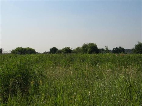 Działka budowlana na sprzedaż Warszawa, Wawer, Borków 714m2 Foto 2