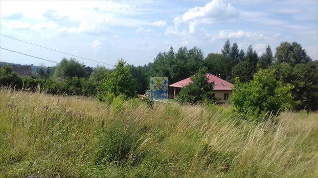 Działka budowlana na sprzedaż Krzywaczka 1 600m2 Foto 5