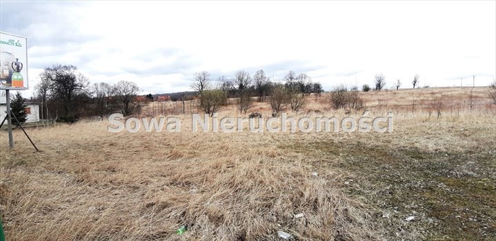 Działka inna na sprzedaż Wałbrzych, Biały Kamień 8 563m2 Foto 6