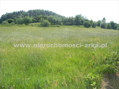 Działka rolna na sprzedaż Stare Rybie 8 600m2 Foto 2