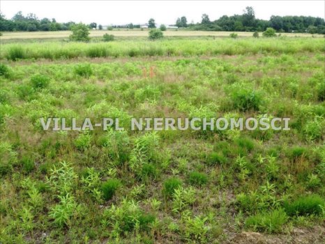 Działka budowlana na sprzedaż Dąbrówka Wielka 1 000m2 Foto 3