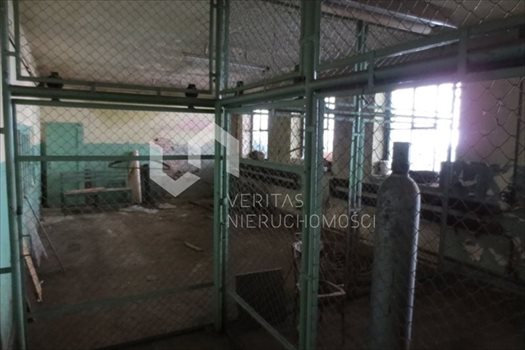 Lokal użytkowy na sprzedaż Gliwice 1 460m2 Foto 5