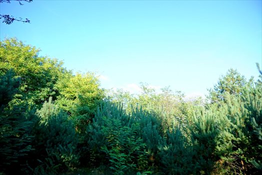 Działka komercyjna na sprzedaż Radziejowice-Parcel 3 900m2 Foto 12