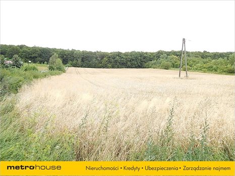 Działka inna na sprzedaż Janów, Chełm 20 269m2 Foto 2