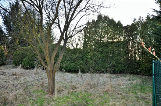 Działka budowlana na sprzedaż Balice, Słoneczna 1 165m2 Foto 5