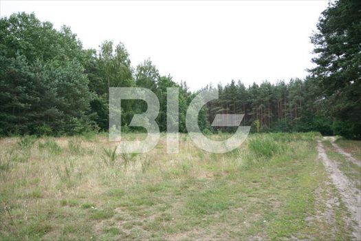 Działka inna na sprzedaż Gdynia, Chwarzno Wiczlino, MAŁKOWSKIEGO KAZIMIERZA 2 020m2 Foto 4