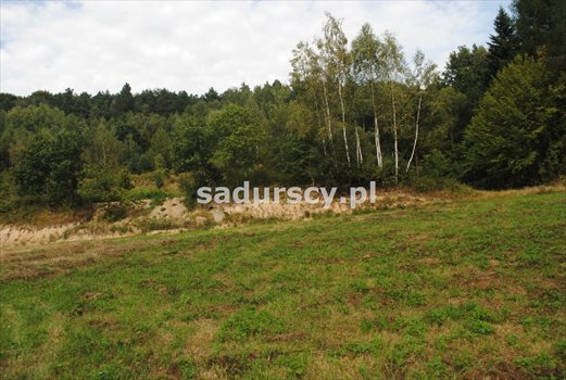 Działka budowlana pod dzierżawę Gosprzydowa 50 000m2 Foto 8