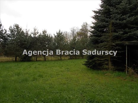Działka rolna na sprzedaż Januszowice 2 800m2 Foto 7