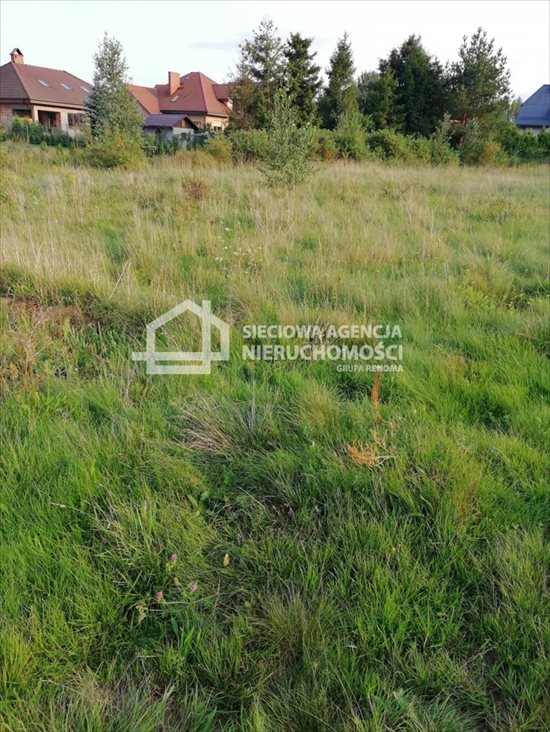 Działka budowlana na sprzedaż Bojano 1 500m2 Foto 4