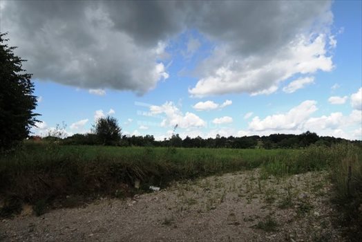 Działka budowlana na sprzedaż Włosań, Spacerowa 1 200m2 Foto 7