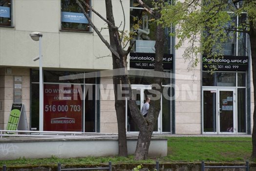 Lokal użytkowy na wynajem Wrocław, Krzyki, Powstańców Śląskich 246m2 Foto 8