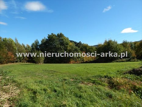 Działka budowlana na sprzedaż Skrzydlna 4 500m2 Foto 2