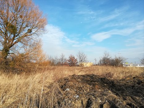 Działka inna na sprzedaż Braniewo, Królewiecka 9 914m2 Foto 2