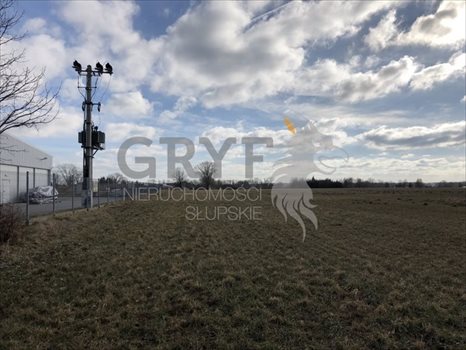 Działka inwestycyjna na sprzedaż Bierkowo 10 000m2 Foto 7