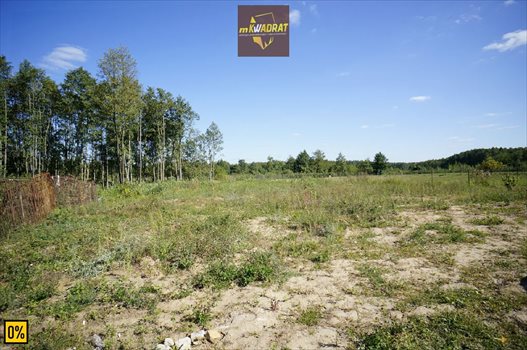 Działka rekreacyjna na sprzedaż Barany 3 001m2 Foto 4