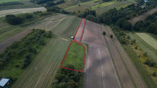 Działka budowlana na sprzedaż Owczary, zbożowa 4 800m2 Foto 5