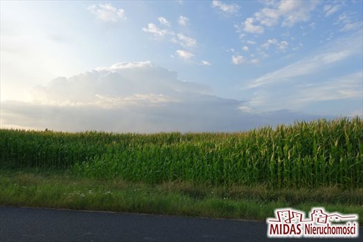 Działka inna na sprzedaż Zarzeczewo 9 366m2 Foto 2