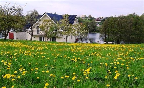 Dom na sprzedaż Miechucino, Jezioro, Las, Park, Plac zabaw, Tereny rekreacyjne, jEZIORNA 387m2 Foto 2
