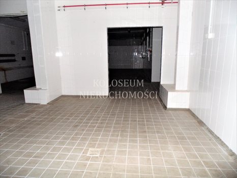 Lokal użytkowy na sprzedaż Łysomice 12 900m2 Foto 9
