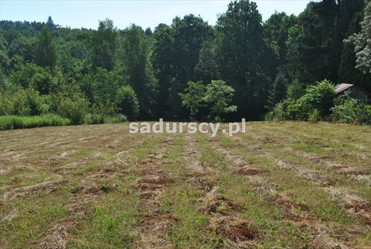 Działka budowlana na sprzedaż Kraków, Swoszowice, Soboniowice, Heleny Chanieckiej 2 860m2 Foto 2