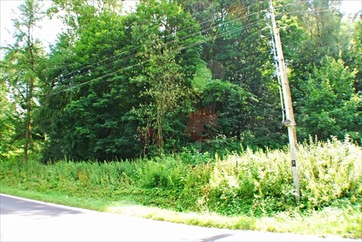 Działka budowlana na sprzedaż Nałęczów 5 600m2 Foto 4