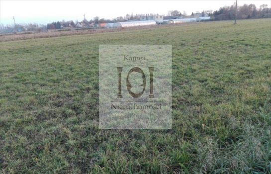 Działka budowlana na sprzedaż Radzymin, Wycinki 2 000m2 Foto 2