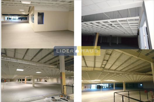 Lokal użytkowy na wynajem Łomianki 500m2 Foto 1