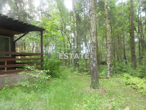 Działka budowlana na sprzedaż Rosanów, Wesoła 2 374m2 Foto 3