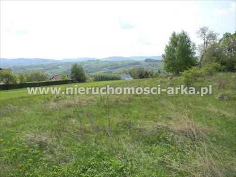 Działka budowlana na sprzedaż Limanowa 2 200m2 Foto 5