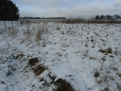 Działka budowlana na sprzedaż Dobrzewino, Ratanowa 1 359m2 Foto 5