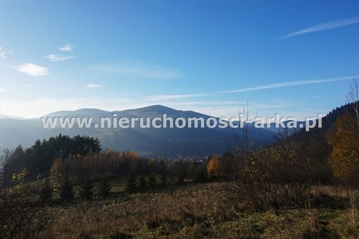 Działka rolna na sprzedaż Szczawa 1 650m2 Foto 4