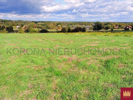 Działka budowlana na sprzedaż Rybnik, Chwałęcice 2 448m2 Foto 1